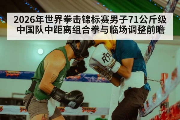 boxing match punch action